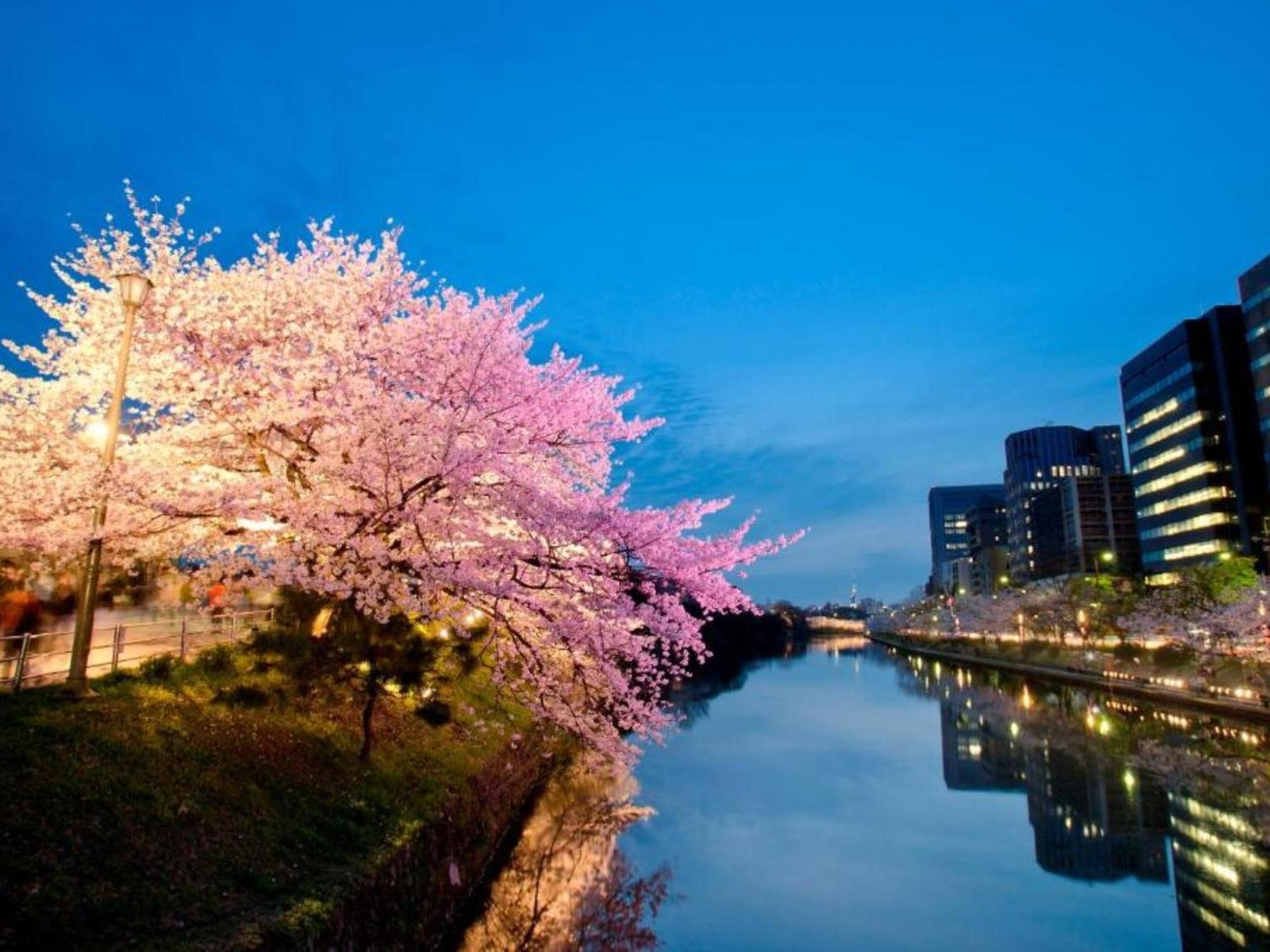 Hotel Resol Trinity Hakata Fukuoka  Bagian luar foto